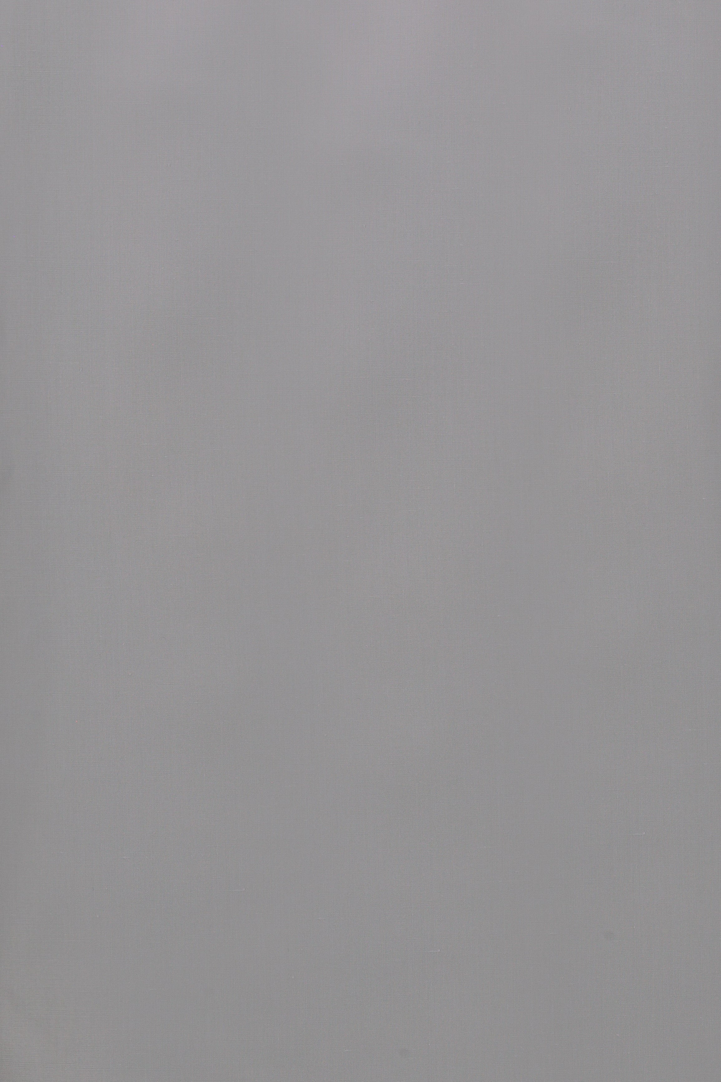 CAMICIA 100% COTONE SILK TOUCH MANICA LUNGA