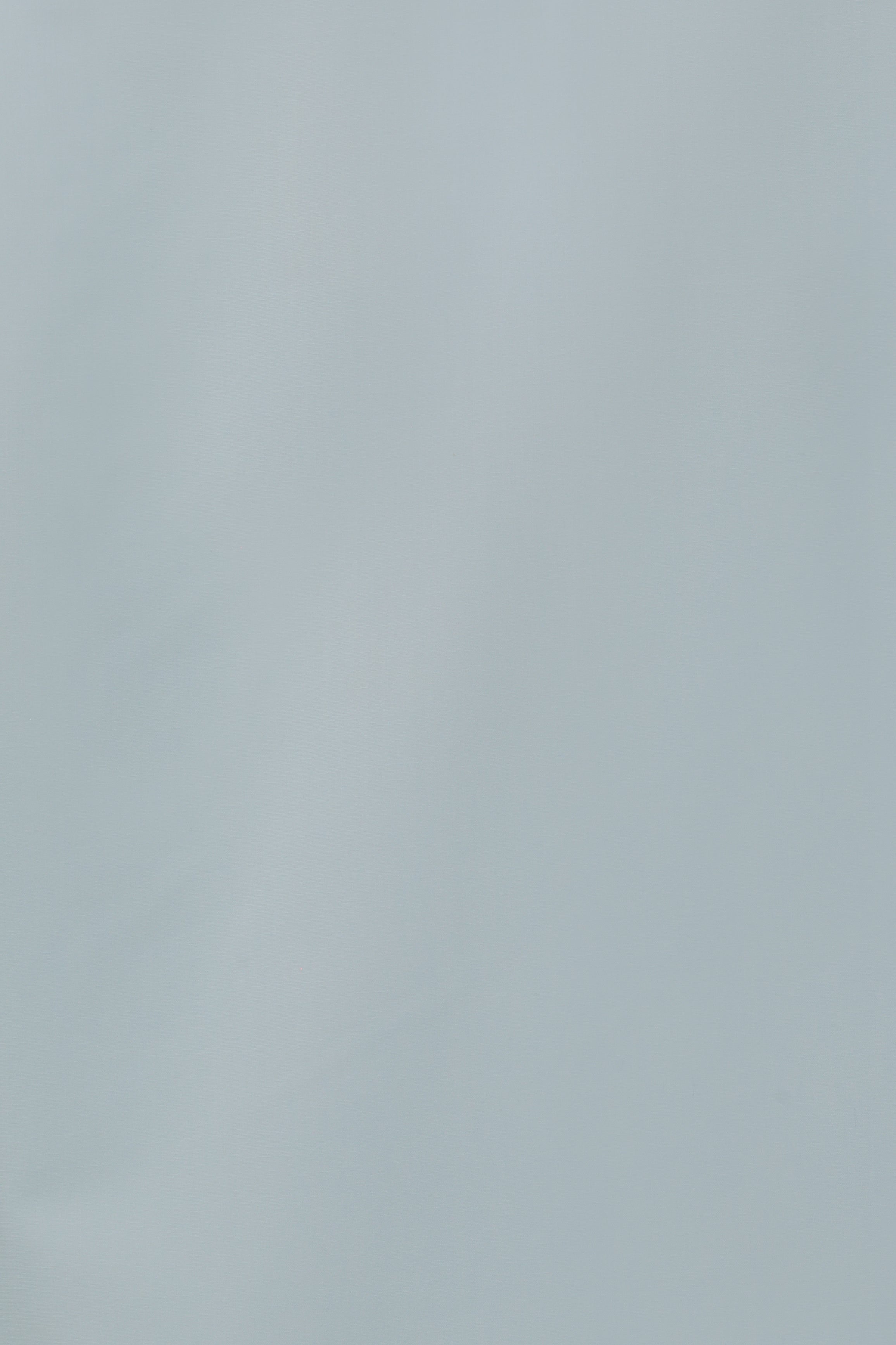 CAMICIA 100% COTONE SILK TOUCH MANICA LUNGA