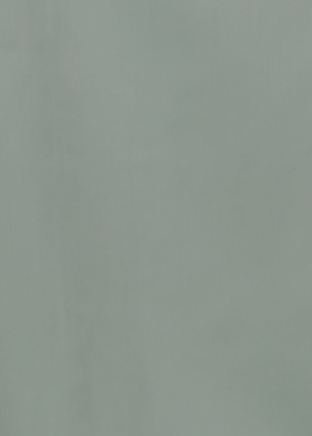 100% SILK TOUCH COTTON LONG SLEEVE SHIRT