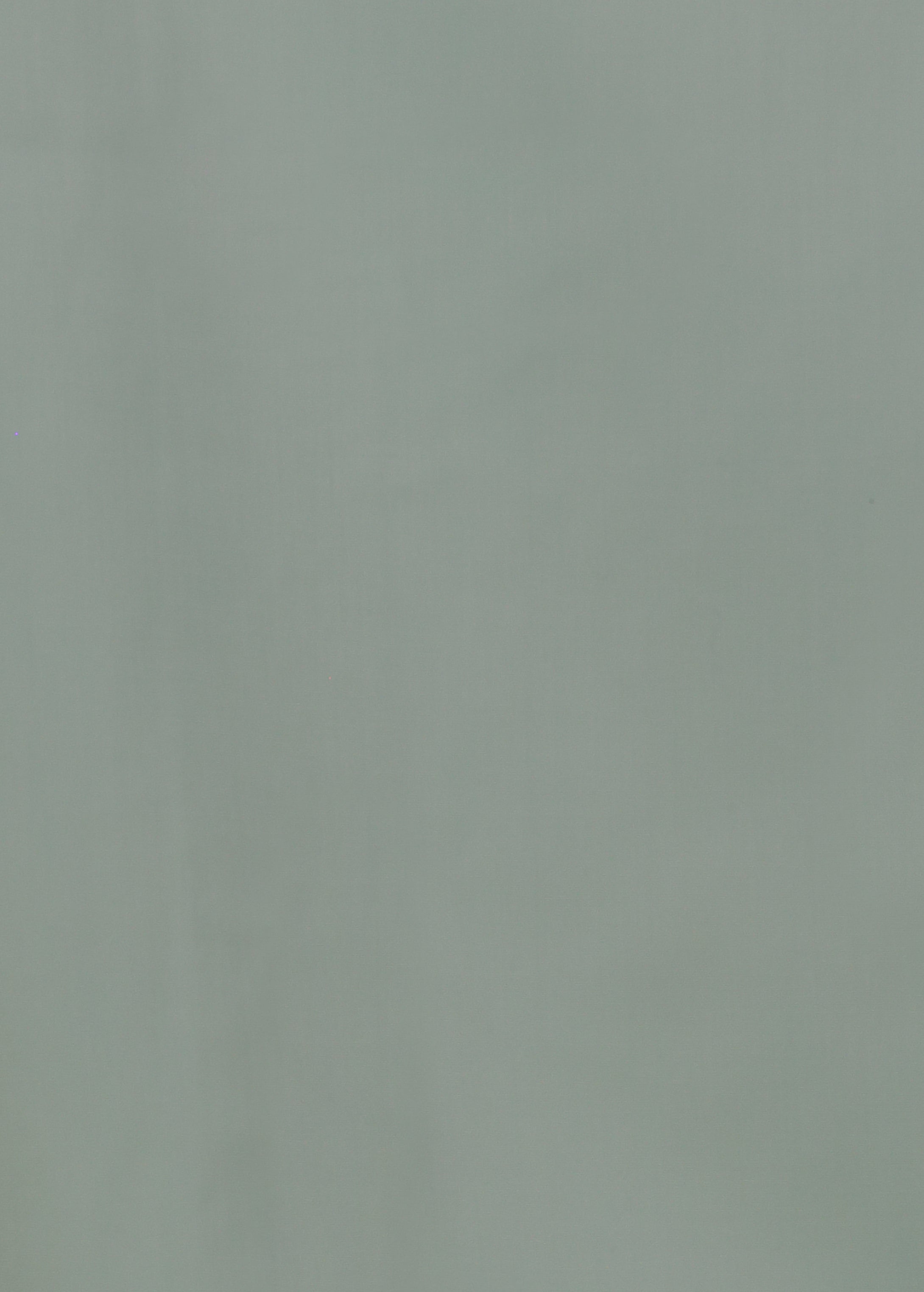 CAMICIA 100% COTONE SILK TOUCH MANICA LUNGA