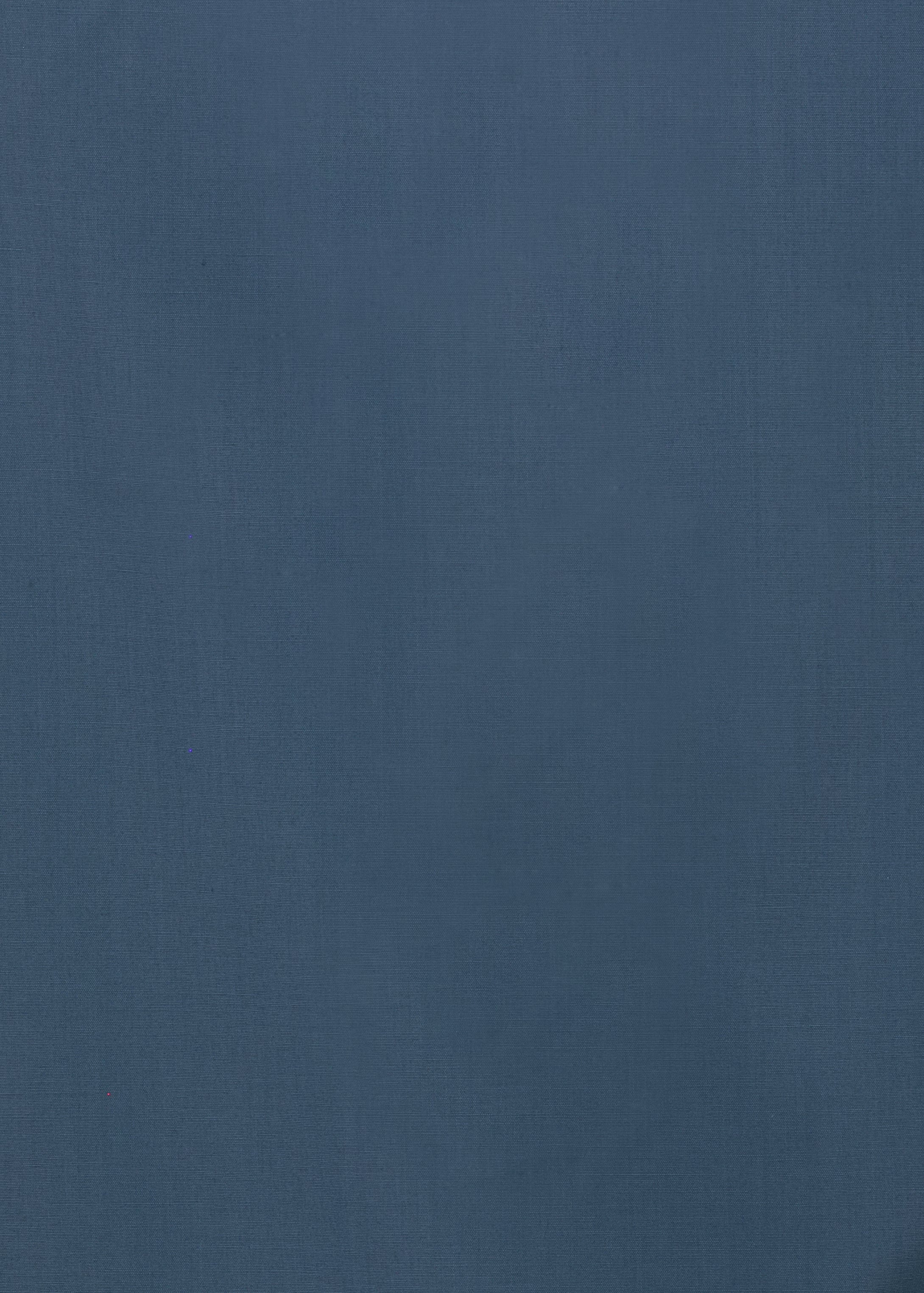 CAMICIA 100% COTONE SILK TOUCH MANICA LUNGA