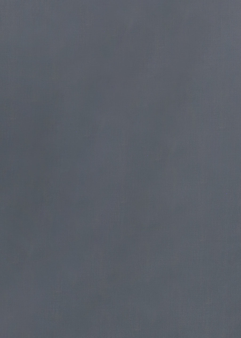 100% SILK TOUCH COTTON LONG SLEEVE SHIRT