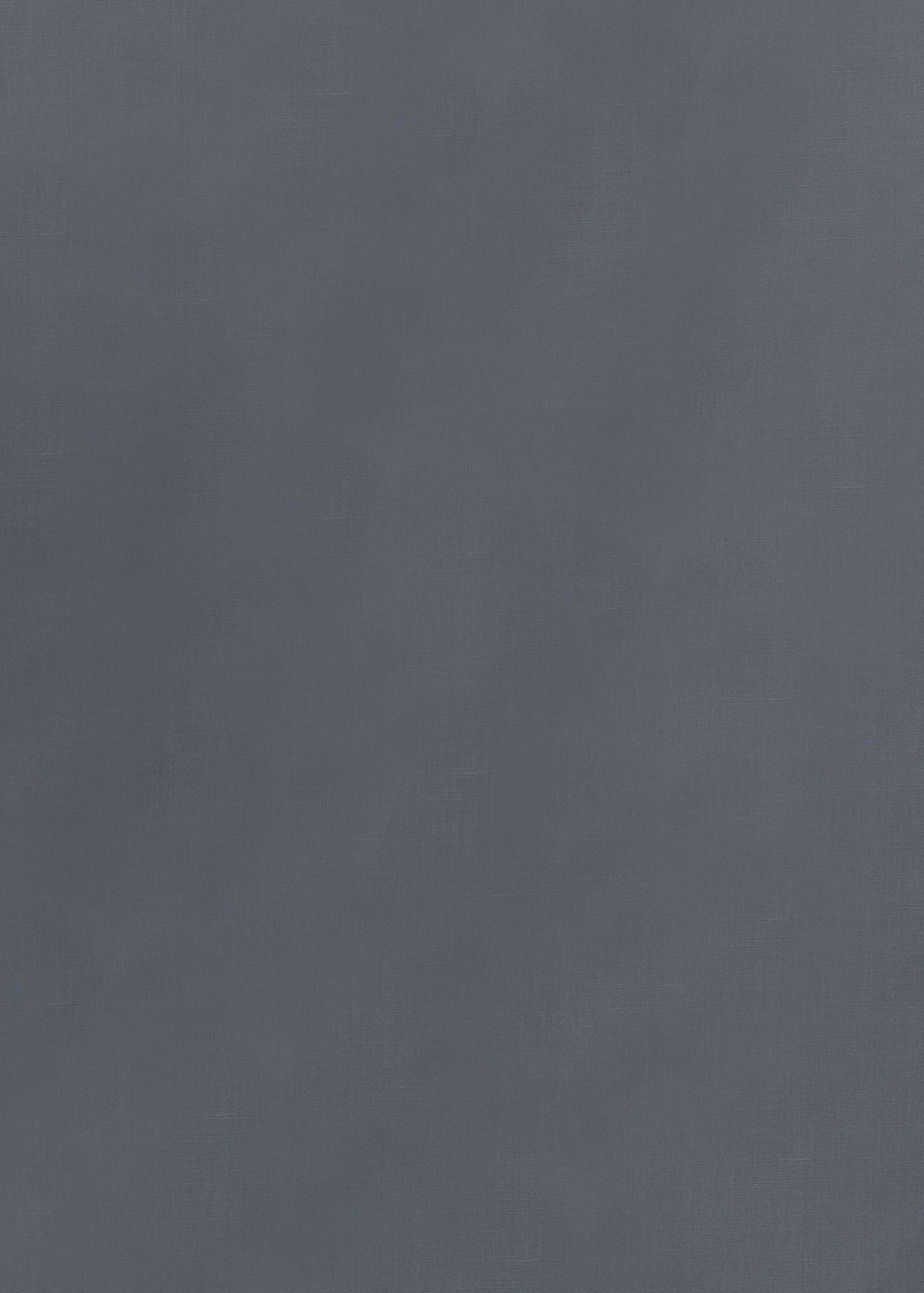 CAMICIA 100% COTONE SILK TOUCH MANICA LUNGA